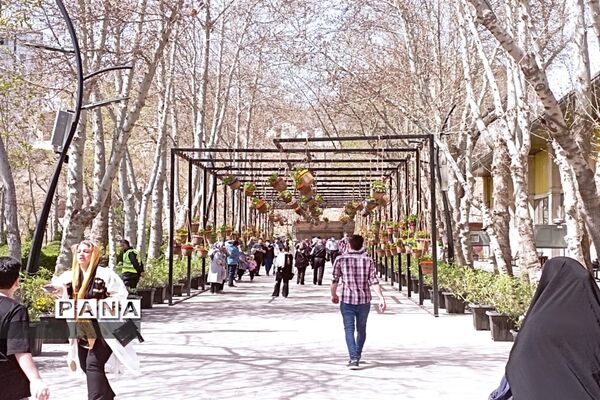 برگزاری جشنواره لاله‌ها در پارک چمران