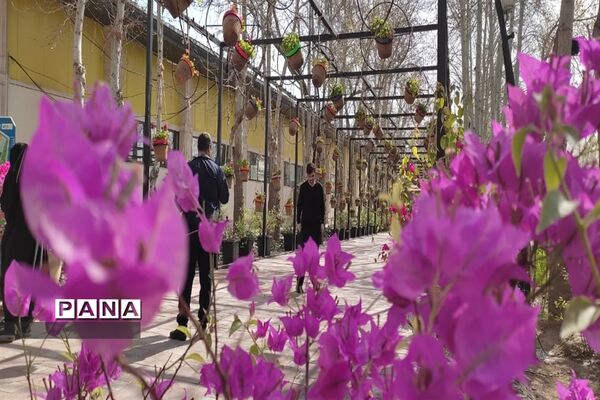 برگزاری جشنواره لاله‌ها در پارک چمران