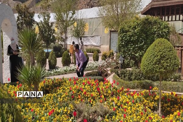 برگزاری جشنواره لاله‌ها در پارک چمران