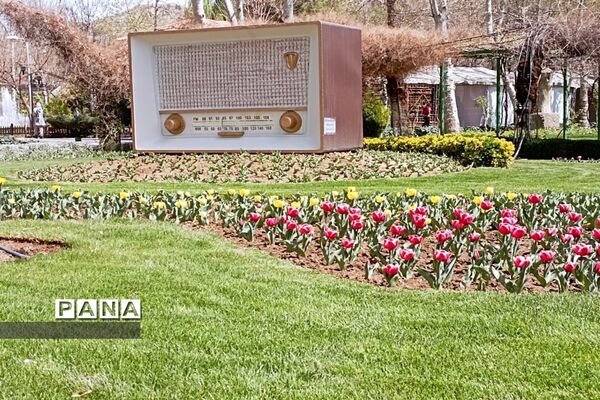 برگزاری جشنواره لاله‌ها در پارک چمران