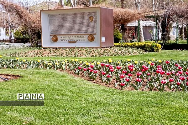 برگزاری جشنواره لاله‌ها در پارک چمران