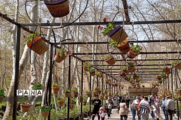 برگزاری جشنواره لاله‌ها در پارک چمران
