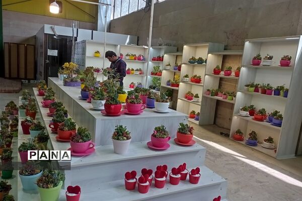 برگزاری جشنواره لاله‌ها در پارک چمران