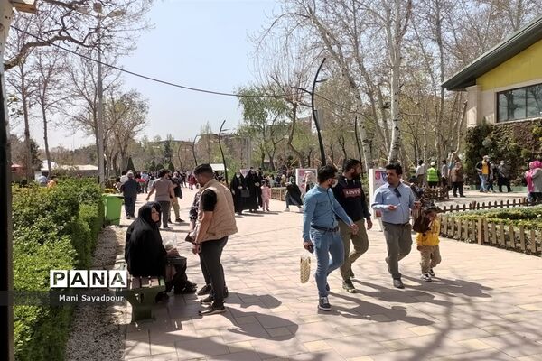 برگزاری جشنواره لاله‌ها در پارک چمران