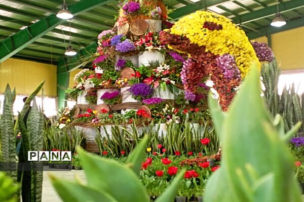 برگزاری جشنواره لاله‌ها در پارک چمران