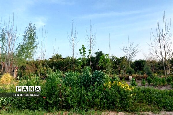 طبیعت بهاری در شمال کشور