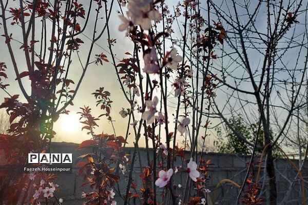 طبیعت بهاری در شمال کشور