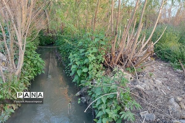 طبیعت بهاری در شمال کشور