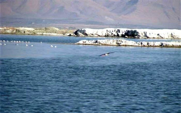 تالاب میقان؛ جاذبه گردشگری استان مرکزی