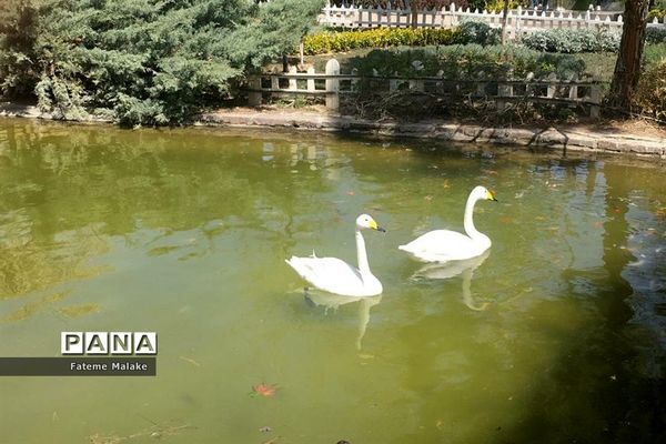 باغ گل‌های کرج