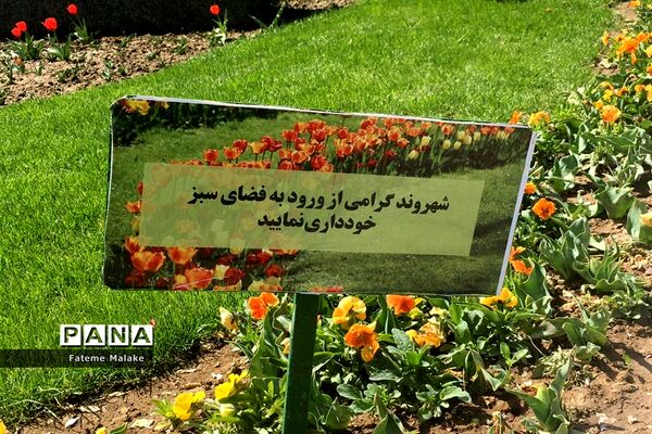 باغ گل‌های کرج