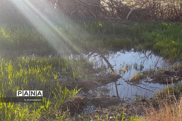 طبیعت استان چهارمحال و بختیاری در فصل بهار