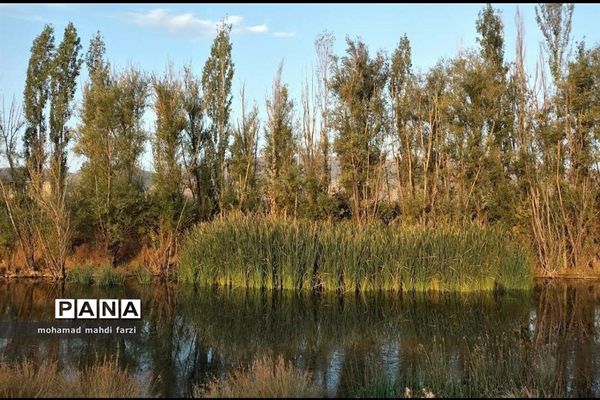 دالاهـو؛ نگین غـرب ایران