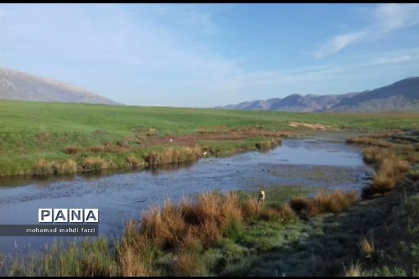 دالاهـو؛ نگین غـرب ایران