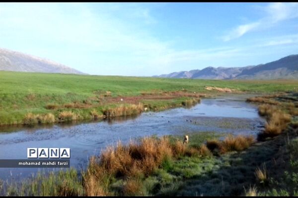 دالاهـو؛ نگین غـرب ایران