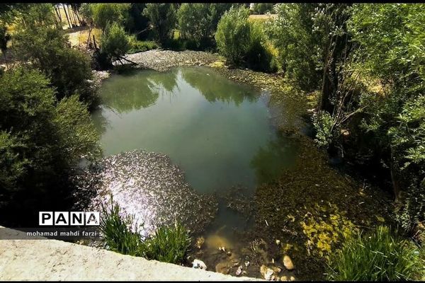 دالاهـو؛ نگین غـرب ایران