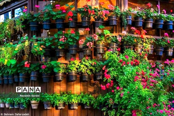طبیعت زیبای منطقه دربند تهران، در سیزدهم فروردین