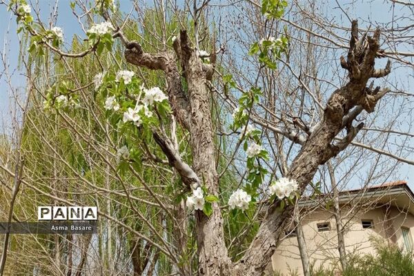 دهکده تفریحی و گردشگری باغستان کرج در روز سیزده فروردین