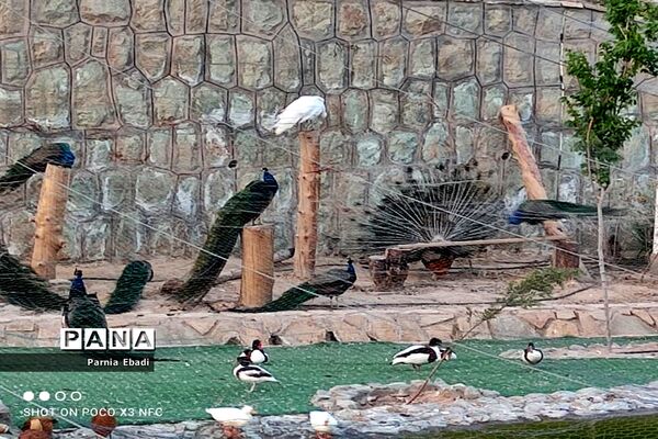 دیدنی‌های باغ پرندگان قم