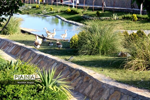 دیدنی‌های باغ پرندگان قم