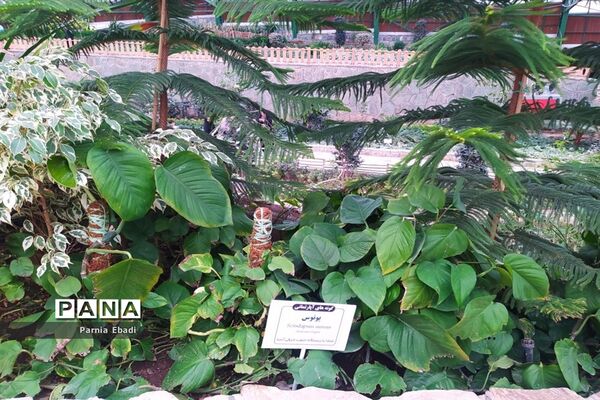 دیدنی‌های باغ پرندگان قم