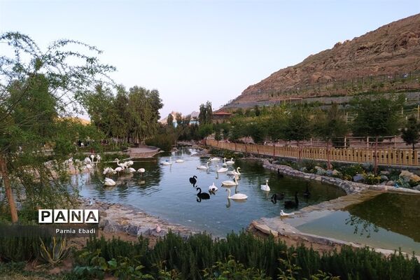دیدنی‌های باغ پرندگان قم