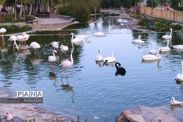 دیدنی‌های باغ پرندگان قم