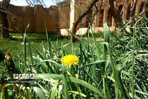قلعه بهادری اسفندان