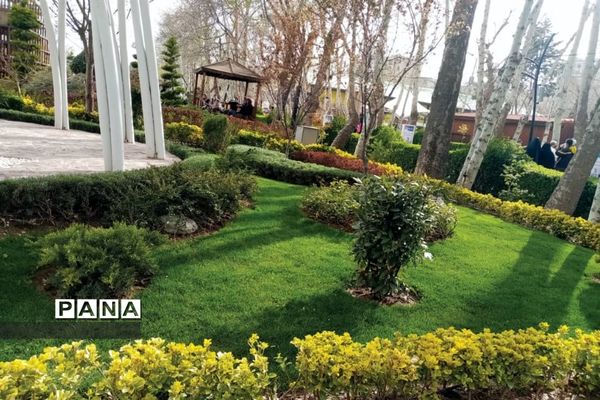 جشنواره گل‌های لاله در باغ گل ‌بوستان شهید چمران کرج