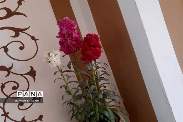 ارگ تاریخی گوگد گلپایگان