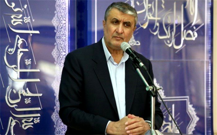 سازمان انرژی اتمی پرچمدار توسعه فعالیت‌های دانش‌بنیان خواهد بود