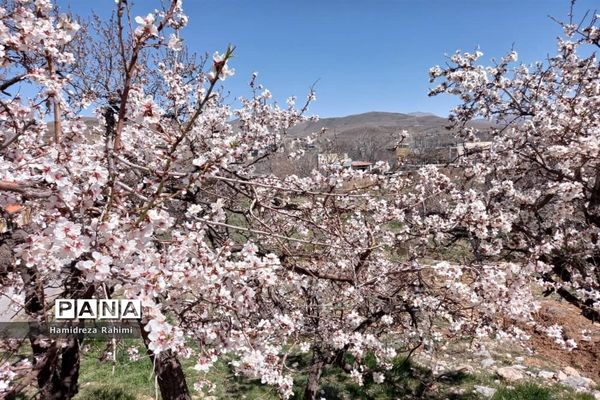 طبیعت بهاری خوانسار