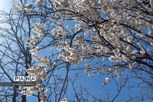 طبیعت بهاری خوانسار