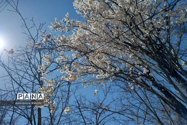 طبیعت بهاری خوانسار