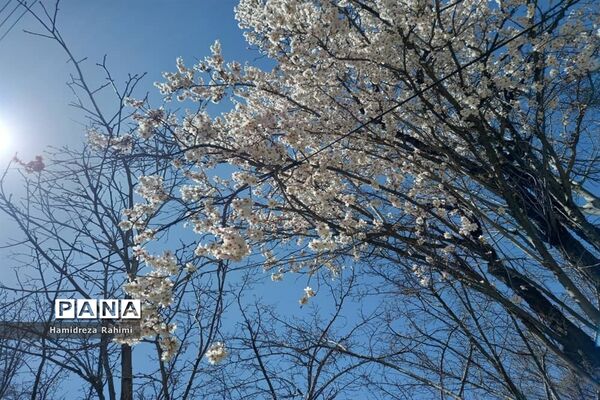 طبیعت بهاری خوانسار