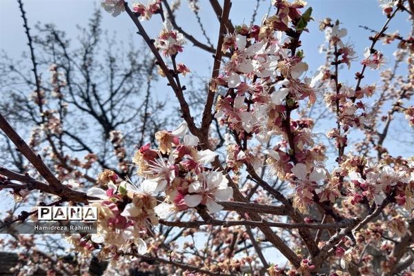 طبیعت بهاری خوانسار