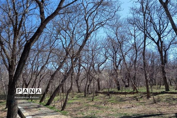 طبیعت بهاری خوانسار