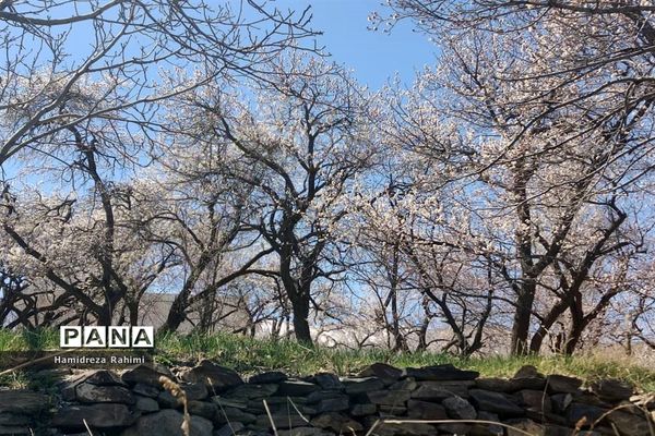 طبیعت بهاری خوانسار