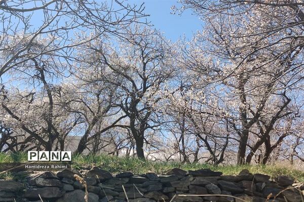 طبیعت بهاری خوانسار