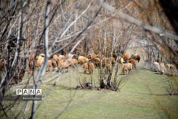 جلوه‌های بصری روستای چهره‌برق