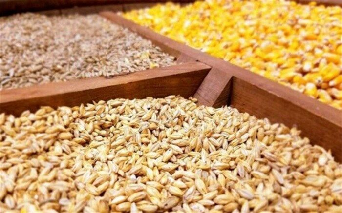 سال قبل کمبودی در نهاده‌های دامی نداشته‌ایم