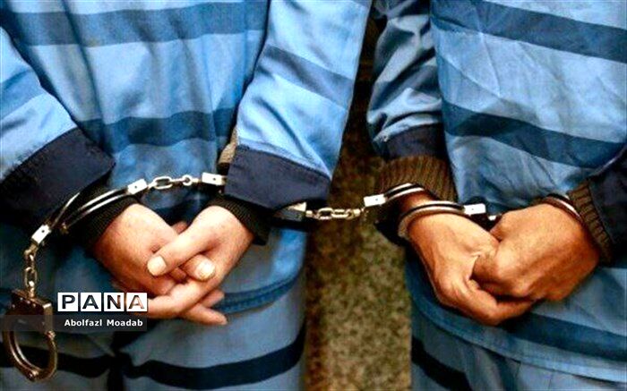 افزایش 8 درصدی کشف سرقت در طرح نوروزی پلیس