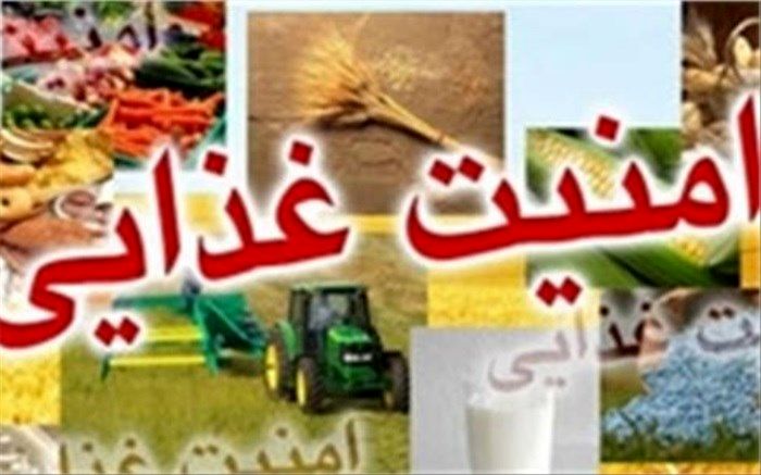 نهادهای بین‌المللی خواستار اقداماتی فوری در زمینه امنیت‌غذایی شدند