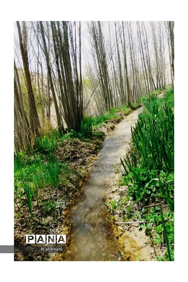 هنرنمایی بهار در روستای دره‌بید