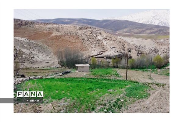 هنرنمایی بهار در روستای دره‌بید