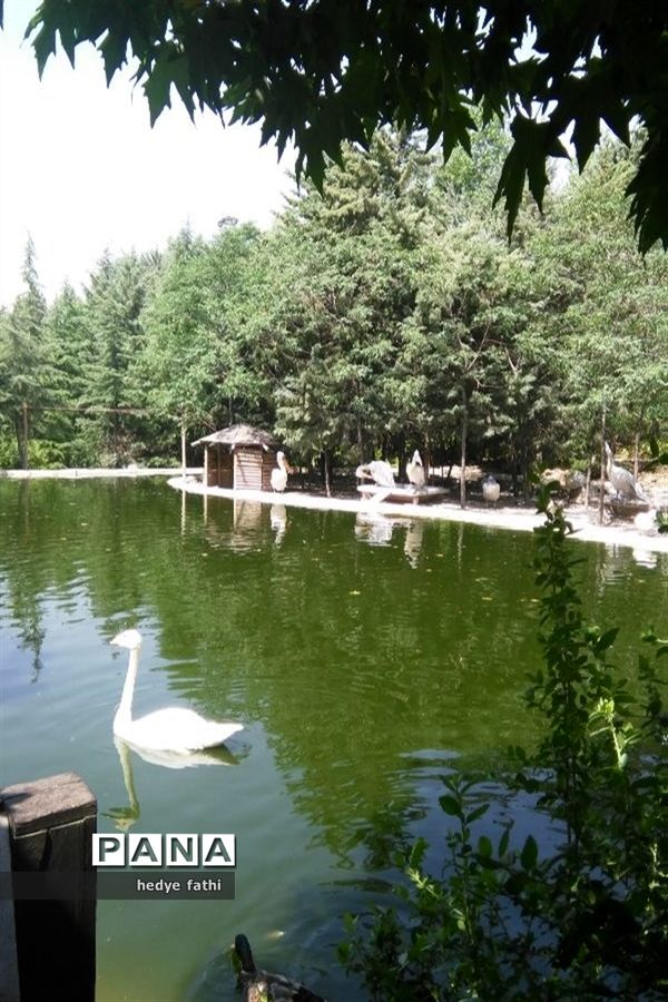 تصاویرمنتخب عکاسان دانش‌آموز کانون پرورش فکری کرمانشاه