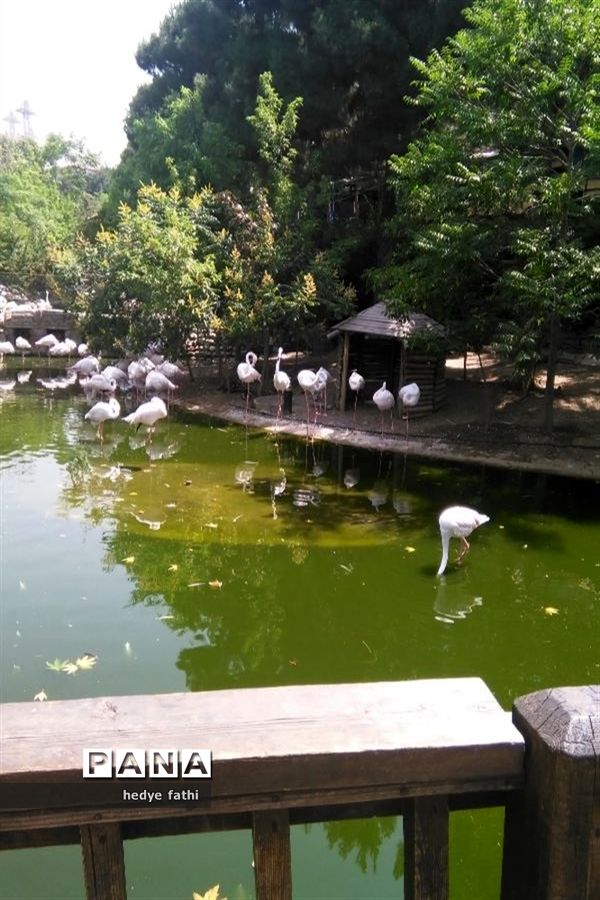 تصاویرمنتخب عکاسان دانش‌آموز کانون پرورش فکری کرمانشاه