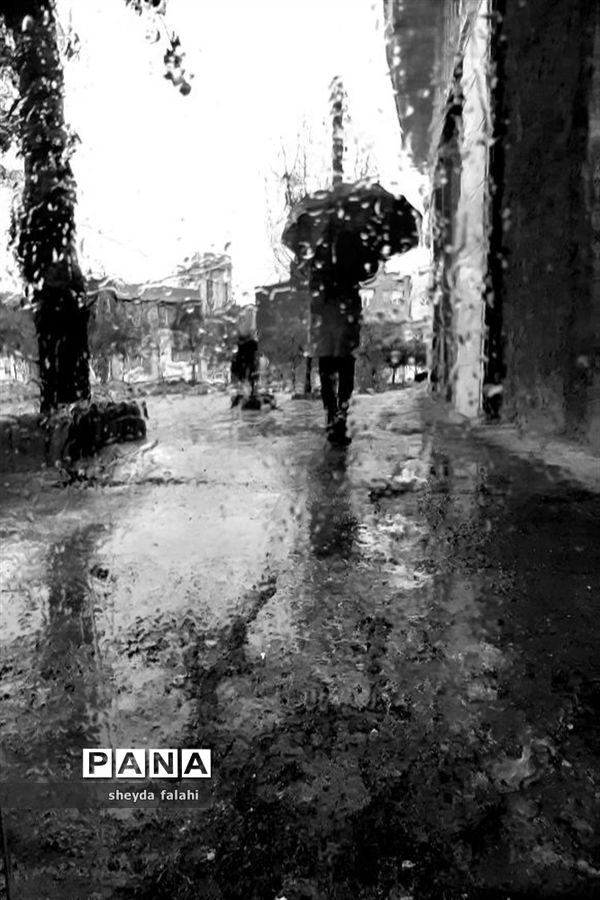 تصاویرمنتخب عکاسان دانش‌آموز کانون پرورش فکری کرمانشاه