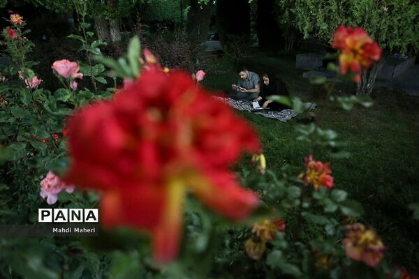 احیای شب نوزدهم ماه رمضان در دانشگاه تهران