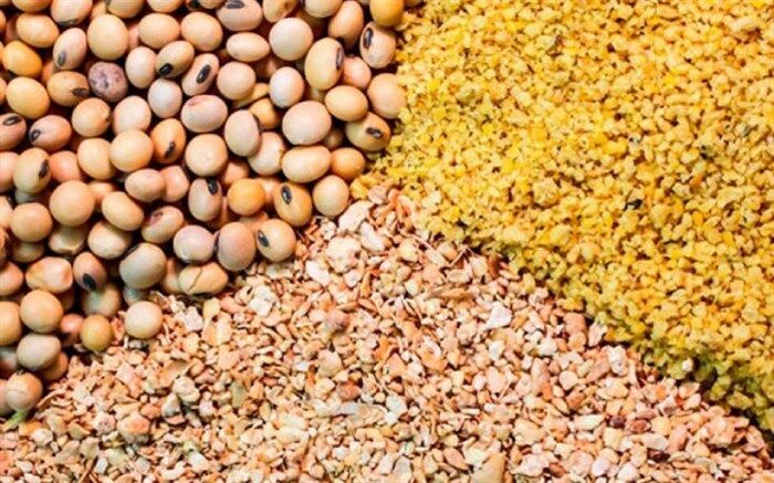 واردات دانه روغنی جایگزین کنجاله آماده شد